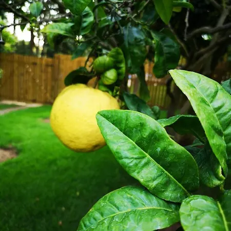 Quinta Do Rio Touro Bed & Breakfast 4*