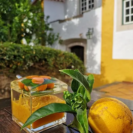 Quinta Do Rio Touro Bed & Breakfast 4*